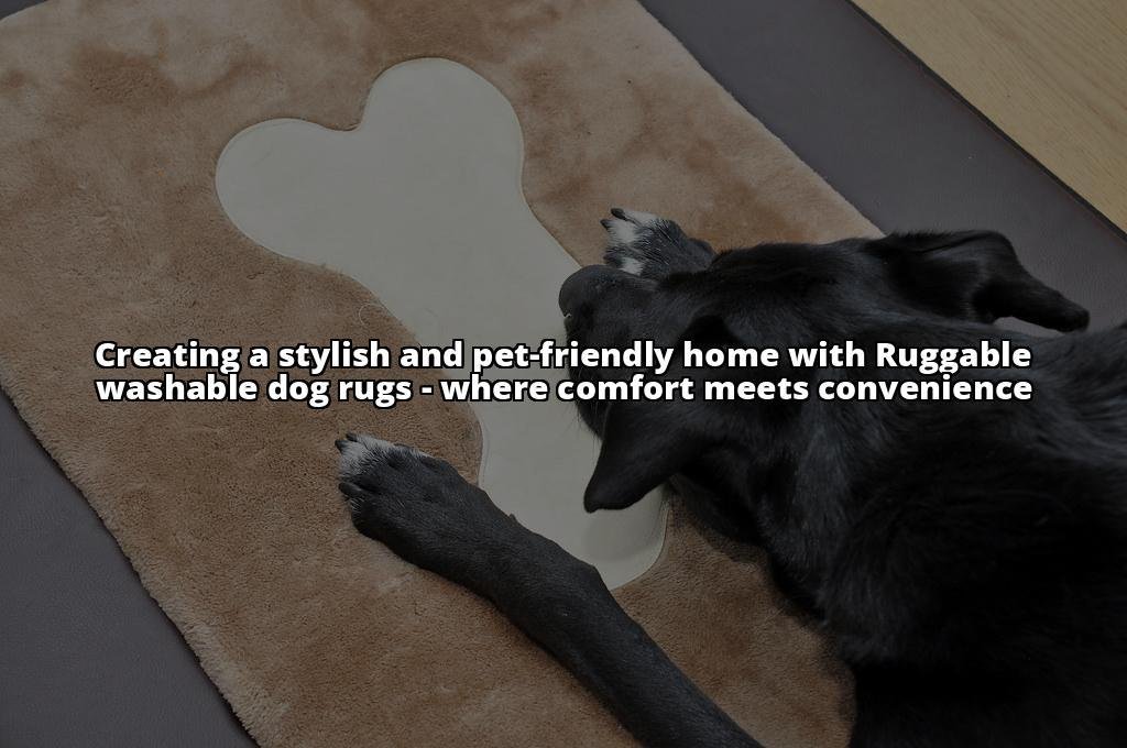 10 Best Dog Rugs of 2023